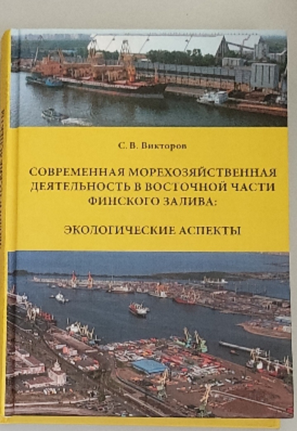Современная морехозяйственная деятельность в восточной части Финского залива.