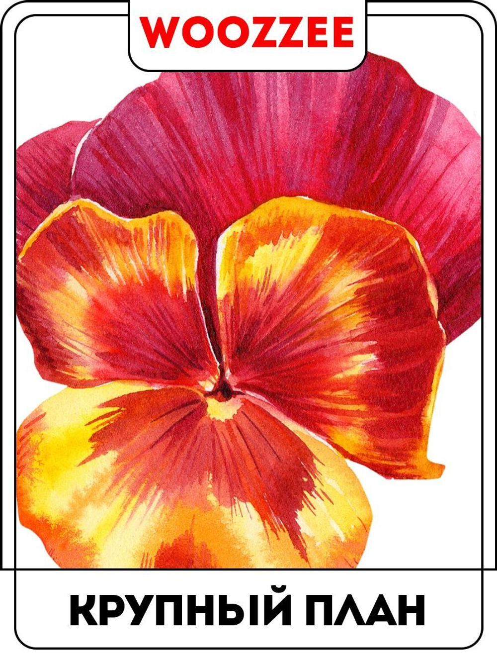 Наклейка декоративная А3 "Анютины глазки"