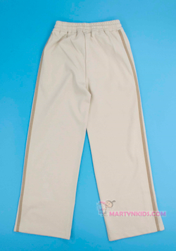 брюки-трико  лампасы " В "  4978