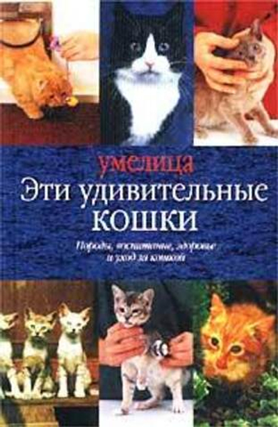 Эти удивительные кошки