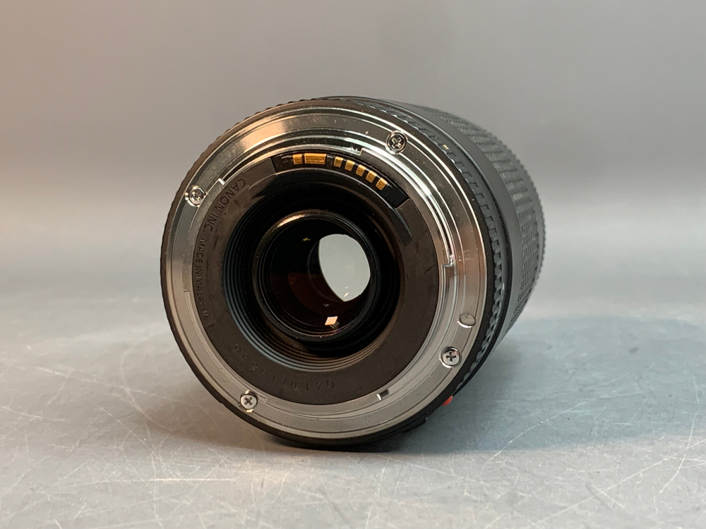 Canon EF 75-300mm 4-5.6 III