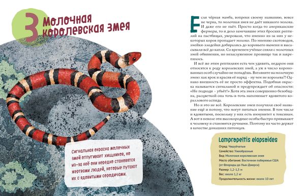 Змеи. Великолепная десятка