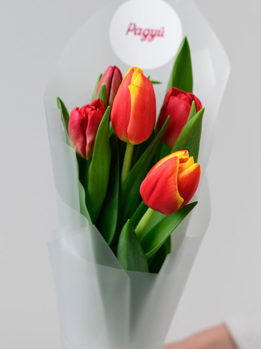 Тюльпаны микс