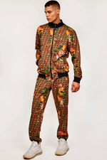 Мужской костюм REASON Quick Tiger (олимпийка и брюки)