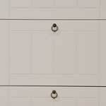 Обувница для прихожей, 66х22х158, Индра, закрытая, тумба для обуви, МДФ, белый, Dipriz