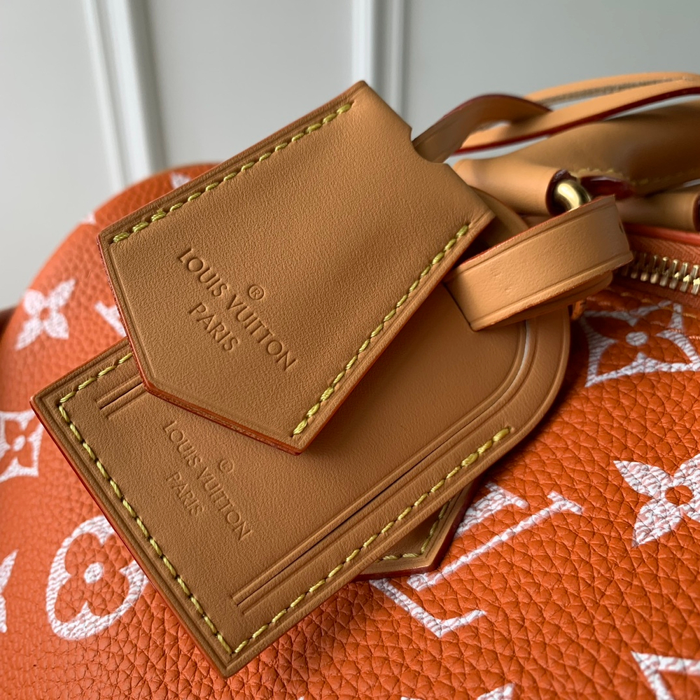 Louis Vuitton Speedy P9 Bandouliere 25