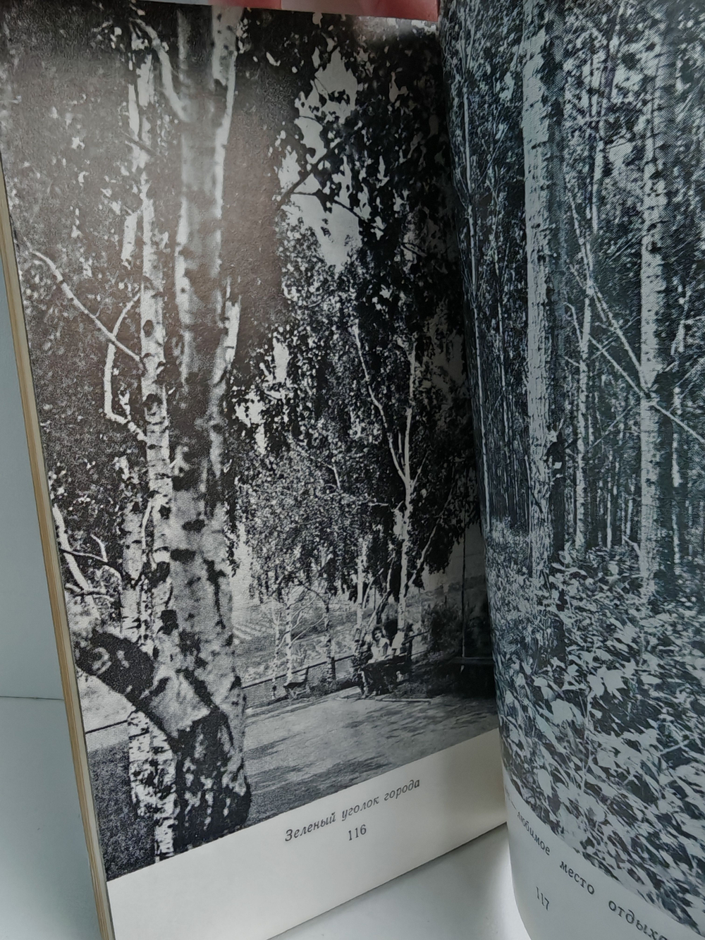 Бендеры. Справочник-путеводитель