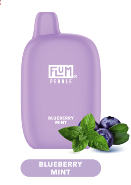 FLUM Pebble Blueberry mint (Черника-мята) 6000 затяжек 20мг (2%)