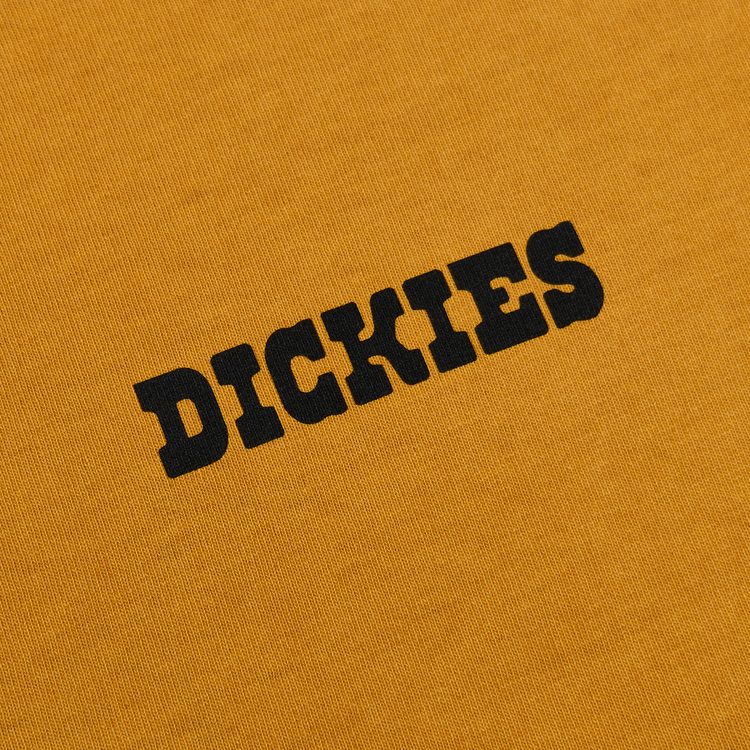 Футболка мужская Dickies Darrtown Short Sleeve Tee 