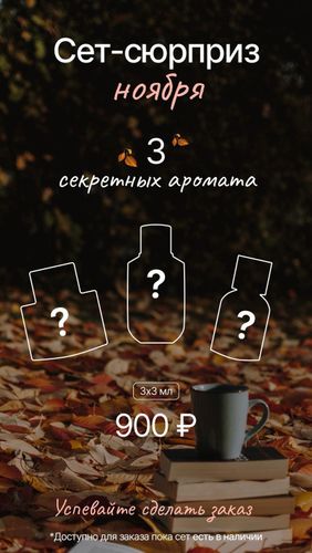 СЕТ-СЮРПРИЗ НОЯБРЯ