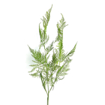 Аспарагус ветка 120 см