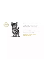 ROYAL CANIN Maine Coon Kitten (Роял Канин Мейкун Киттен) корм сухой для кошек 14 кг.
