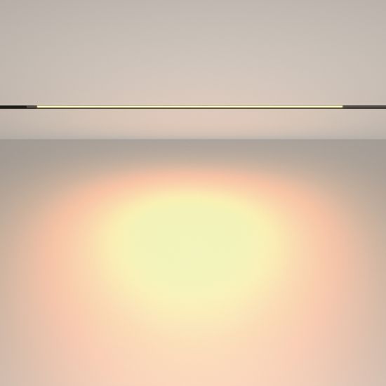 Трековый светильник Technical TR231-2-15W3K-B