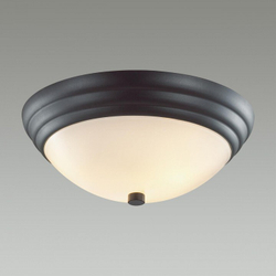 Накладной светильник Lumion 5263/2C