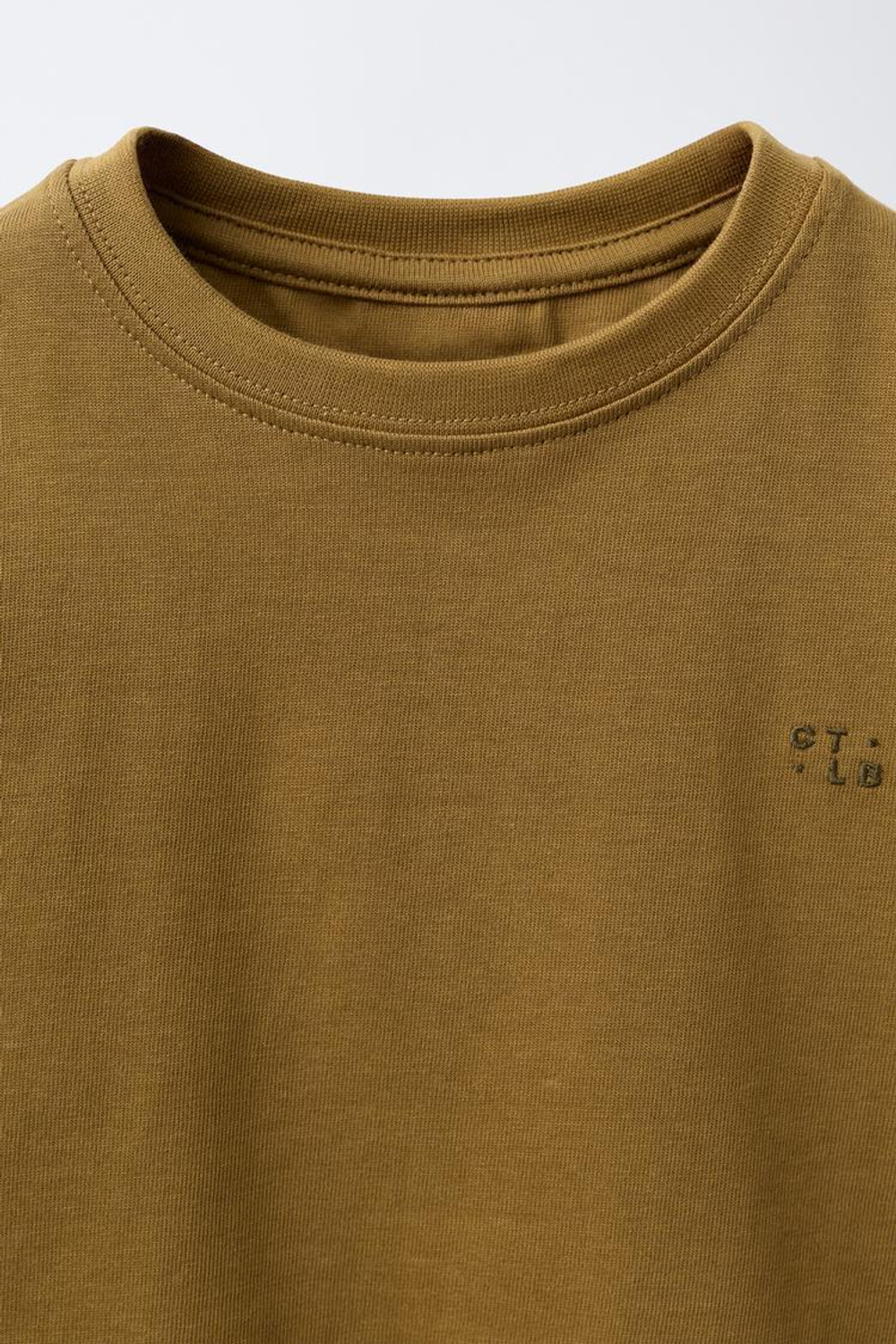 ZARA ФУТБОЛКА HEAVYWEIGHT С ВЫШИВКОЙ, НЕЖНО-КОРИЧНЕВЫЕ ОТТЕНКИ