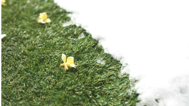 Как сохранить идеальное состояние газонной решетки в зимнее время