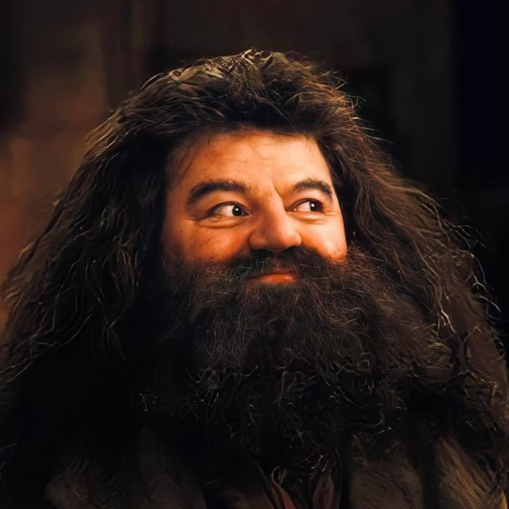 Rubeus Hagrid
