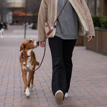 Поводок handsfree COCOA NATURALS Zee.Dog