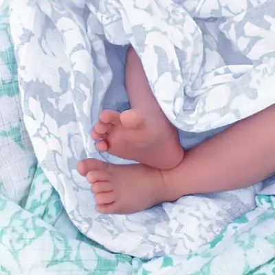 SwaddleDesigns SD-454ST Пеленка маркизет - Lush Botanical, Sterling