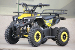 Детский квадроцикл Avantis ATV Classic mini 4T