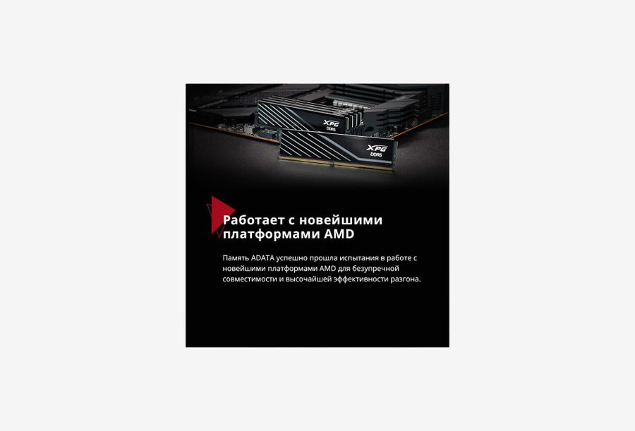AX5U6000C3016G-DTLABWH_0426606110051
