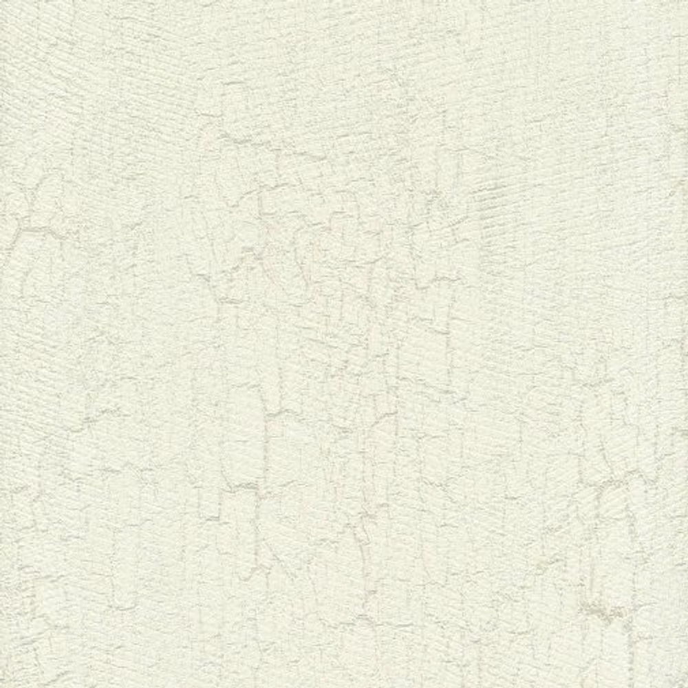 Обои ROBERTO CAVALLI Home 5 RC16018 1.06x10
