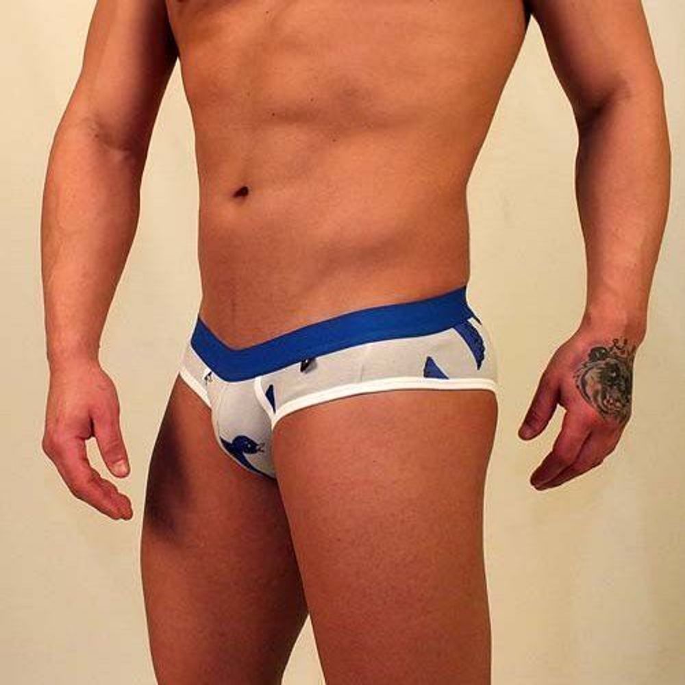 Трусы мужские брифы светло-серые с синей резинкой Van Baam VB-2105-MD05