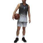 Шорты Jordan, FN5347-010