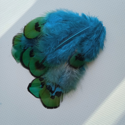 Перья фазана голубые с зеленым отливом 3-8 см. 10 шт.