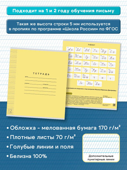 Набор тетрадей ТЕТРАДКИН, частая косая линия 5 мм, 12 л, цвет обложки - желтый, 20 шт