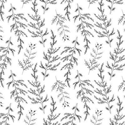 Полынь и луговые травы симметричный