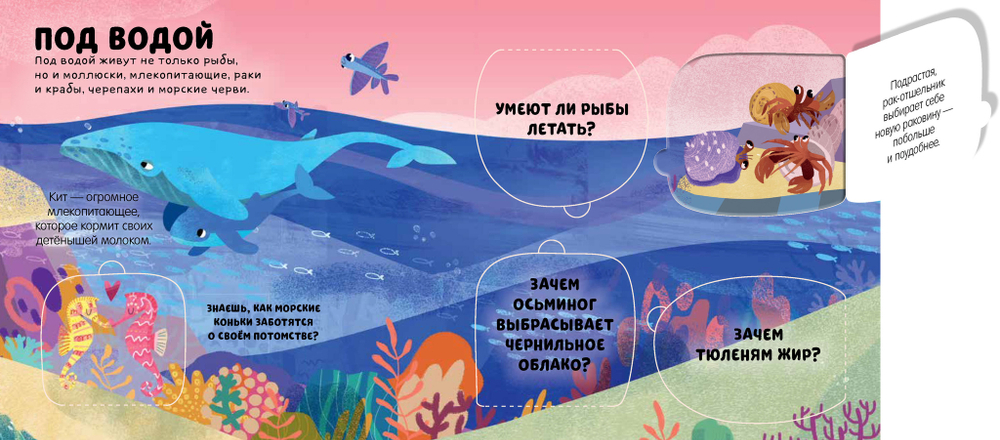 Маленькие почемучки (книжки с клапанами). В мире животных