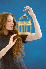 Bluebird dress
