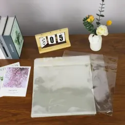 Alive Audio AA-ACC-SLBOUT Конверты для винила 12" (100 шт.) Transparent