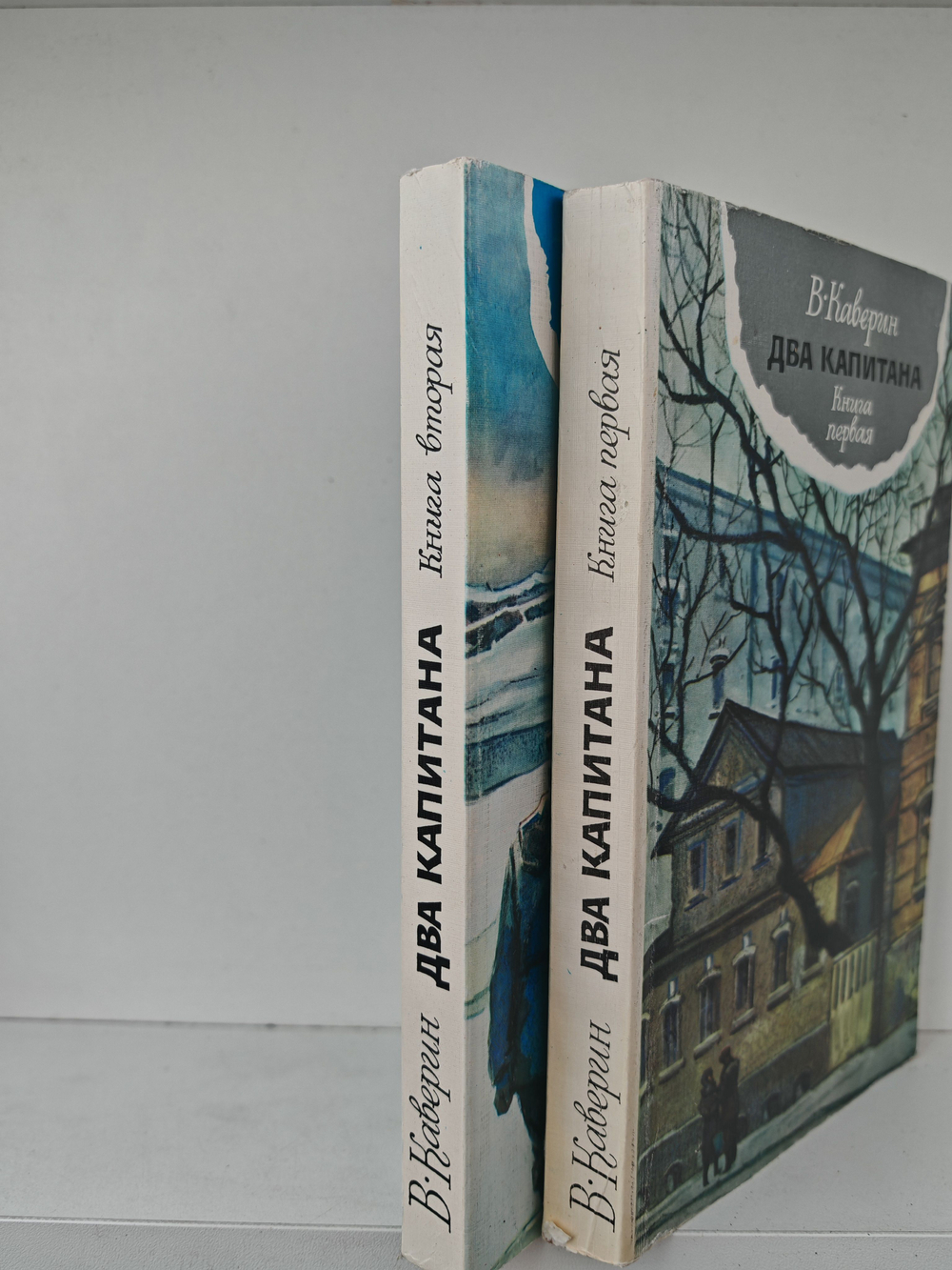 Два капитана (комплект из 2-х книг)