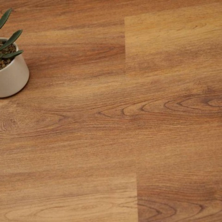 SPC ламинат Evofloor Optima Click - Дуб Янтарный