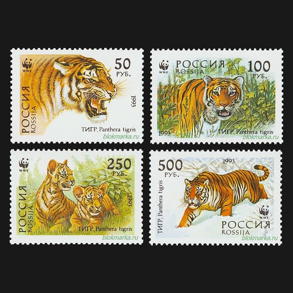 Россия 1993 г № 124-127 Серия Уссурийский тигр Чистая MNH **
