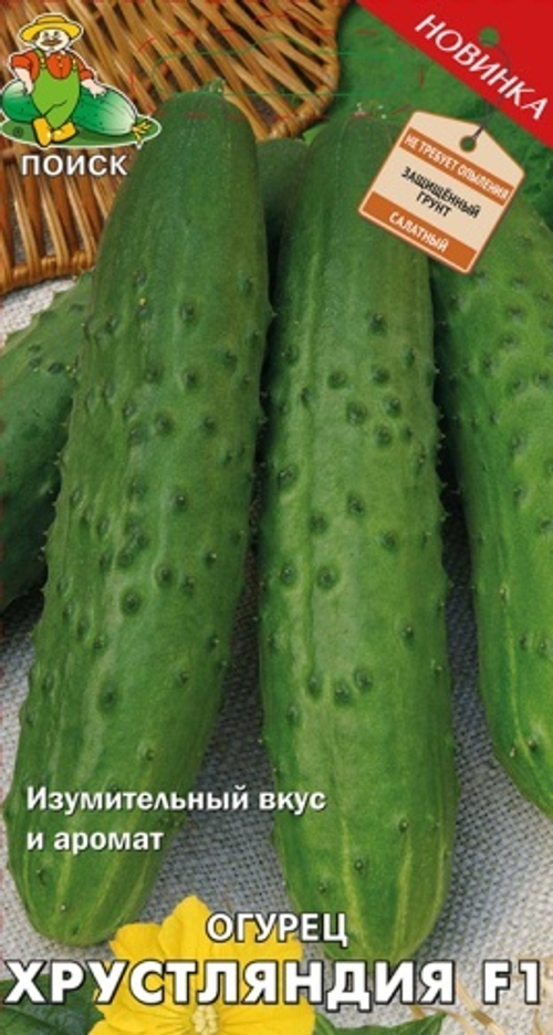 Огурец Хрустляндия F1 12 шт Поиск