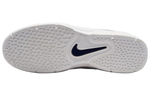 Кроссовки Nike Sb Vertebrae