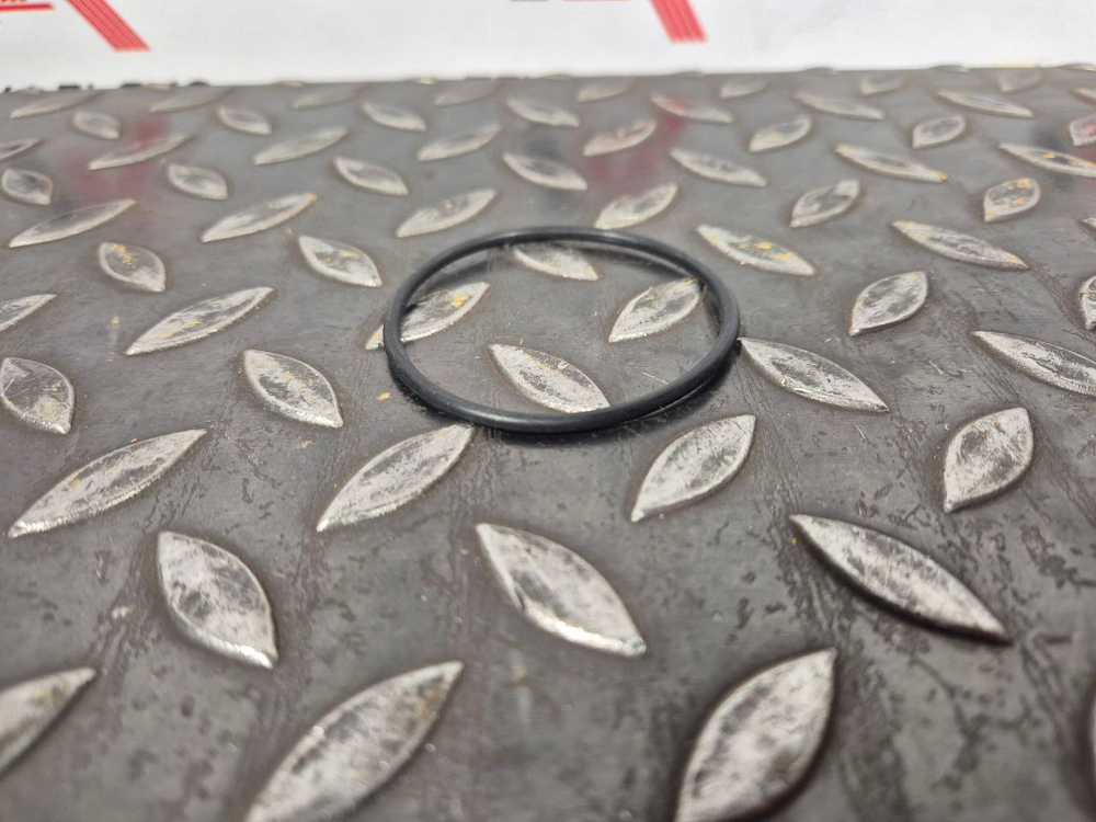 О-кольцо 095-1704