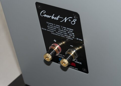 Напольная акустика Davis Acoustics Courbet 8