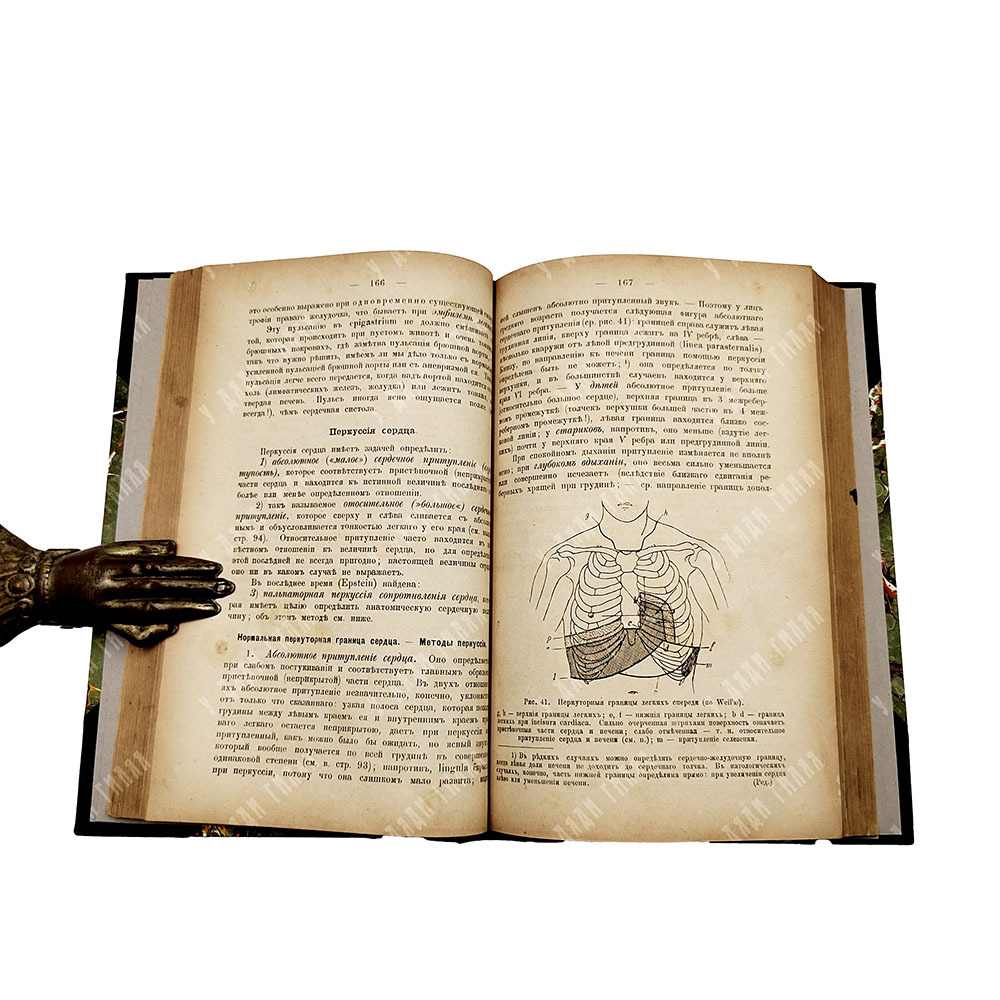 Фирордт Освальд. Диагностика внутренних болезней согласно новейшим методам исследования, 1889