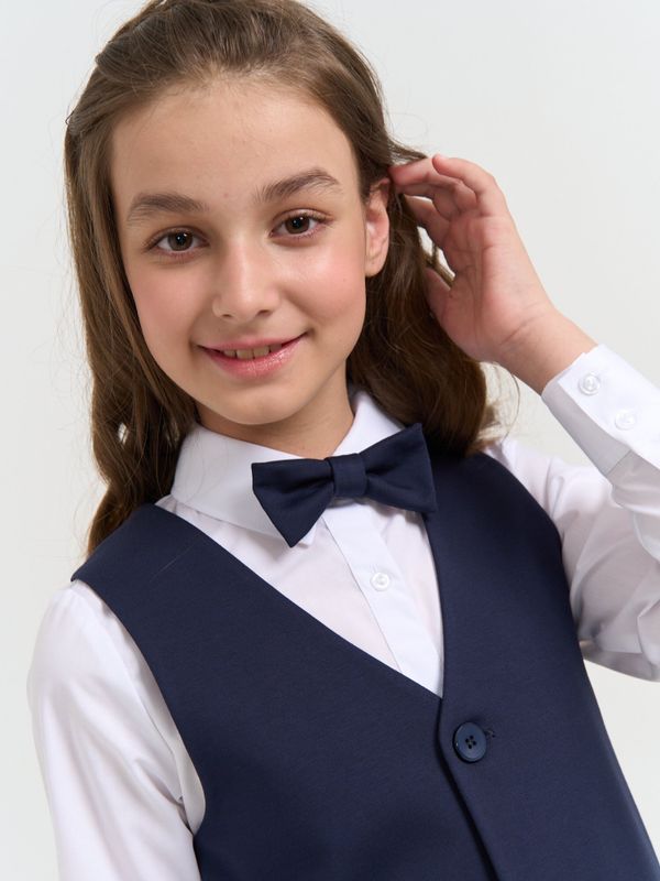 Галстук-бабочка 