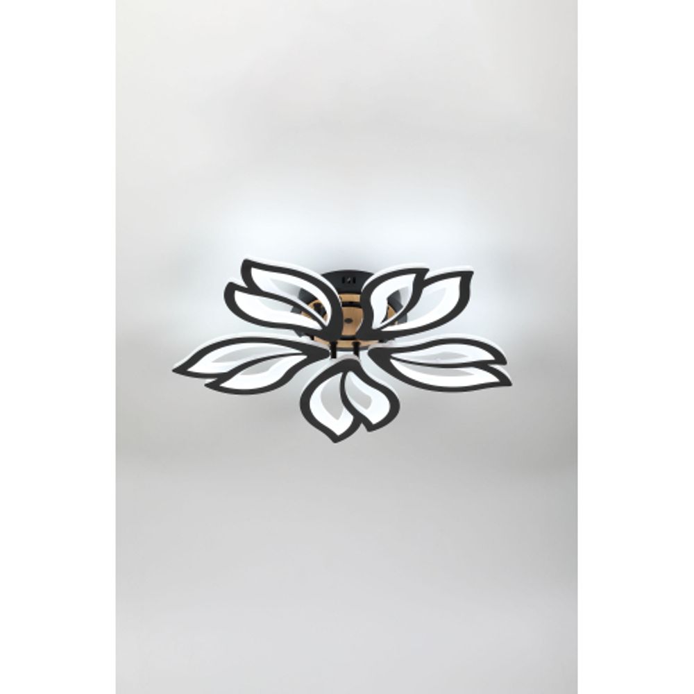 Светильник потолочный светодиодный Rivoli Lana 6195-733 LED 3000-6250К 100 Вт с пультом | Rivoli