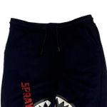 Брюки Sprayground