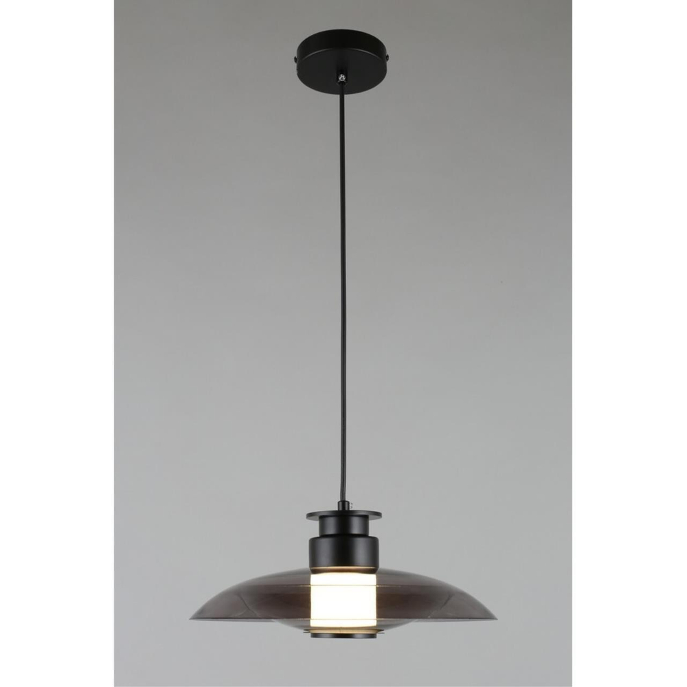 Подвесной светодиодный светильник Aployt Stefa APL.648.06.10