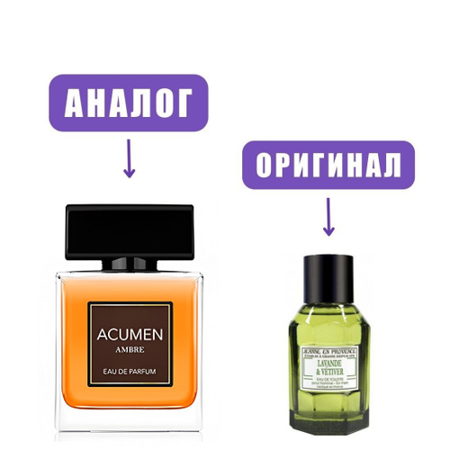 DILIS Acumen Ambre edP 100ml men