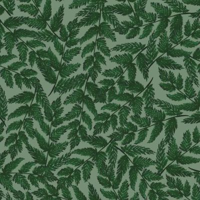 Папоротник на светло-зеленом