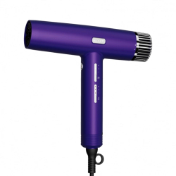Фен Bloom 2000 W