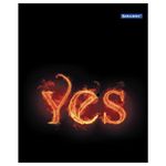 Тетрадь А5, 48 л., BRAUBERG ЭКО, клетка, обложка картон, ОГОНЬ, 401289, 2шт